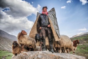 nadir-bucan-van-turkey-village-
